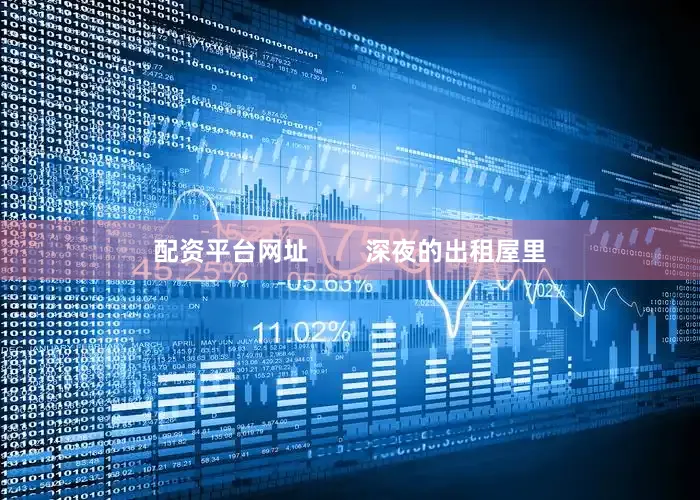 配资平台网址        深夜的出租屋里