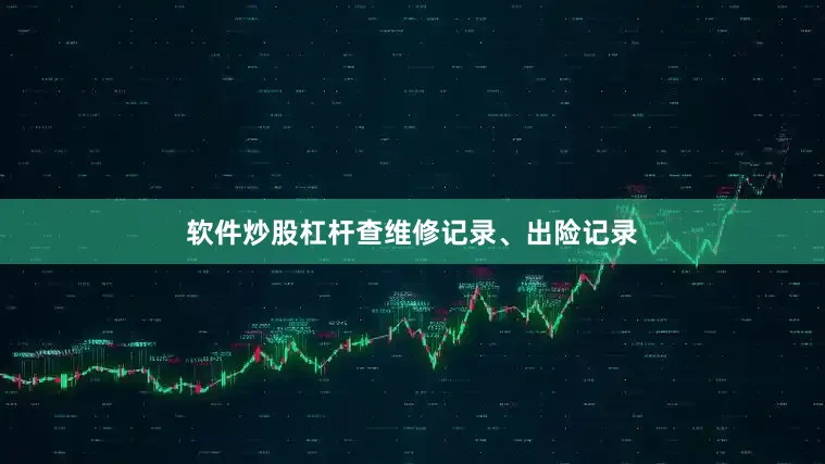 软件炒股杠杆查维修记录、出险记录